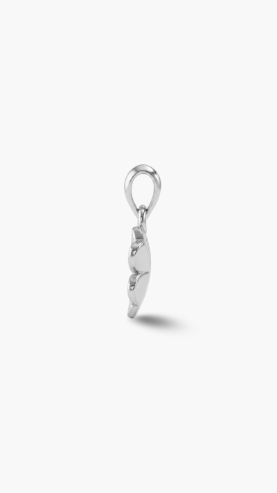 PENDANTS & CHARMS