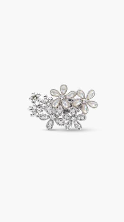 CLASP