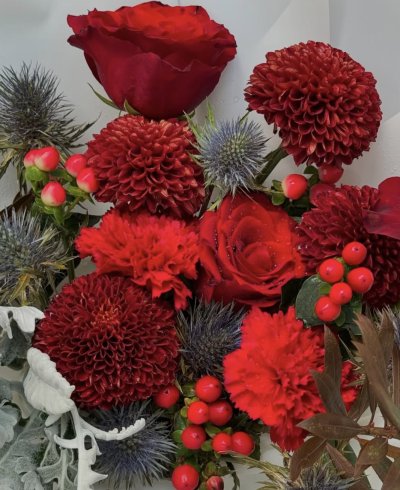 Christmas Red Berry