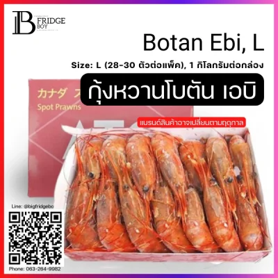 กุ้งหวาน โบตันเอบิ ซาชิมิ ไซส์ L 1 กก.กล่อง (Botan Ebi, L)