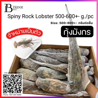 กุ้งมังกรทั้งตัวดิบ 500-600 กรัมต่อตัว (Spiny Rock Lobster 500-600 GPC (Piece))