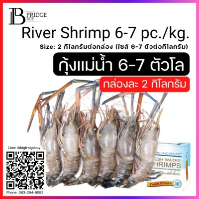 กุ้งแม่น้ำทั้งตัว 6-7 ตัวต่อกิโลกรัม NW 100% (River Shrimp 6-7 pc.kg. (NW 100%))