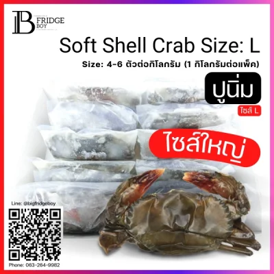 ปูนิ่ม ไซส์ L 4-6 ตัวต่อกิโลกรัม (Soft Shell Crab Size L)