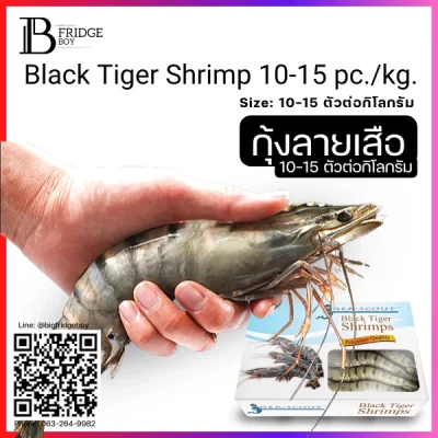 กุ้งลายเสือทั้งตัว 10-15 ตัวต่อกิโลกรัม Kg. NW 100% (Black Tiger Shrimp 10-15 pc.kg. (Kg.) (NW 100%))