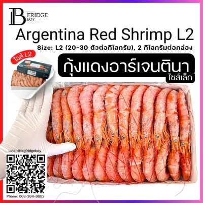 กุ้งแดงอาเจนติน่า L2 (Argentina Red Shrimp L2)