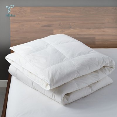 Fill Bliss Premium Duvet Insert