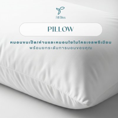 Fill Bliss Pillow Feather & Non-Feather
