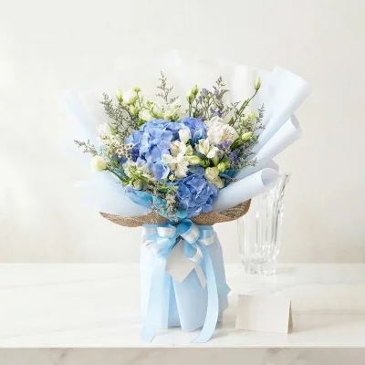 Hydrangea Romance