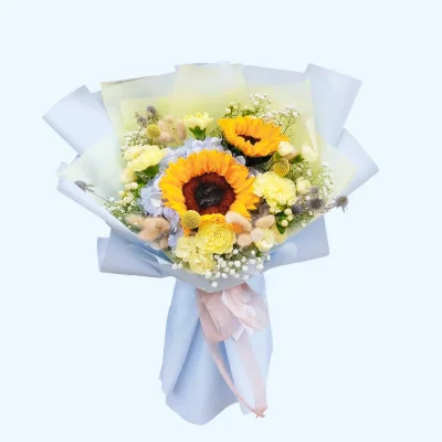2Sunflower