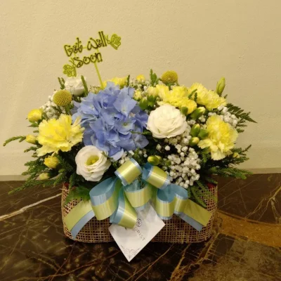 basket for visiting sick people