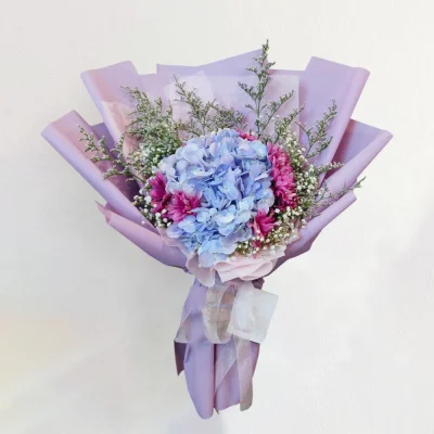 hydrangea