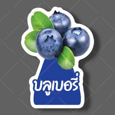 23-บลูเบอรี่