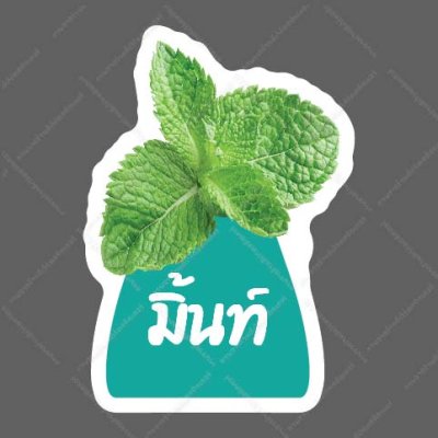 58-มิ้นท์