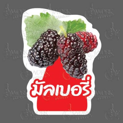87-มัลเบอรี่