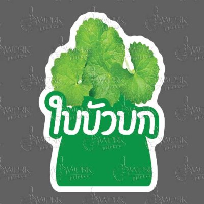 97-ใบบัวบก