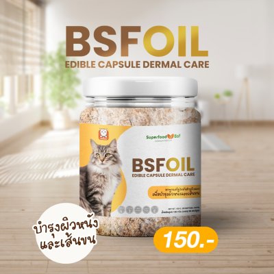 BSFOIL สำหรับบำรุงขนและผิวหนังแมว