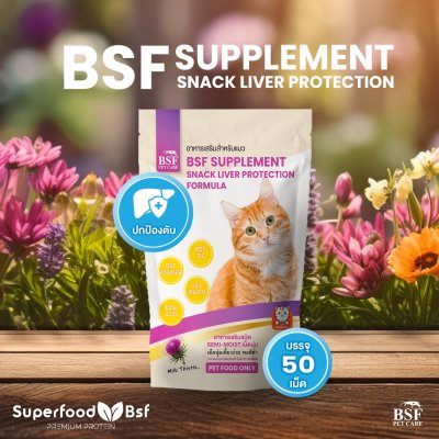 BSF Supplement for CAT สูตรบำรุงตับสำหรับแมว