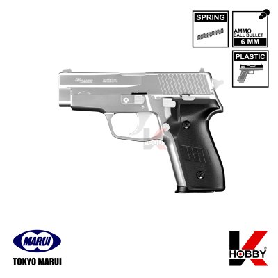 SIG SAUER P228 STAINLESS [10Y] HG