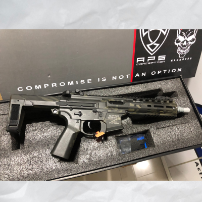 (Display) EMG/APS NOVESKE SPACE INVADER PCC AEG (Multi Cam)