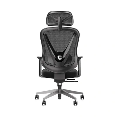 FURRADEC เก้าอี้เพื่อสุขภาพ รุ่น Brighton สีดำ