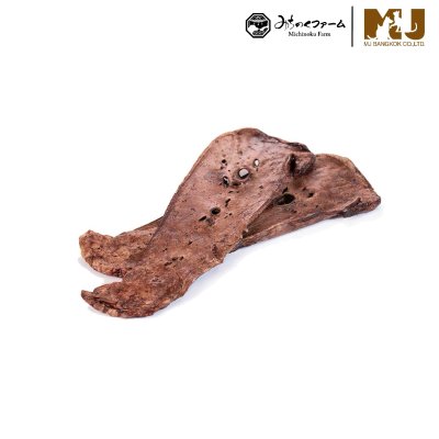 Michinoku Farm Horse Lung Michinoku Farm Horse Lung