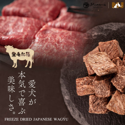 Michinoku Farm Freeze Dried Japanese Wagyu