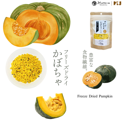 Michinoku Farm Freeze Dried Pumpkin