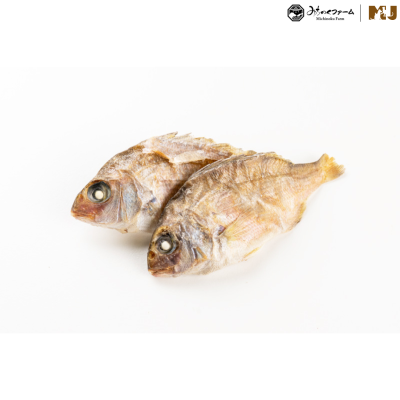 Michinoku Farm Small Sea Bream
