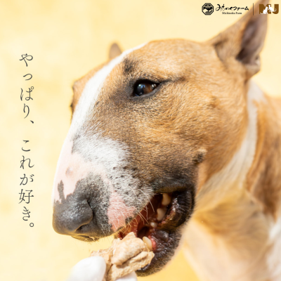 Michinoku Farm Freeze Dried Omi Duck