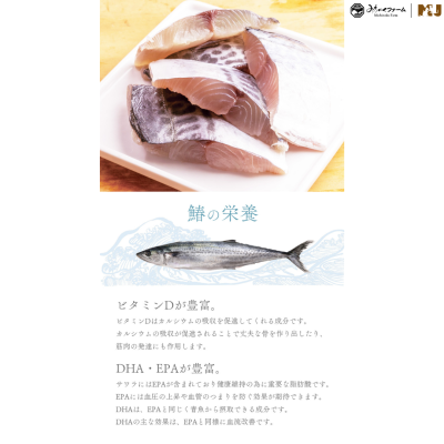 Michinoku Farm Freeze Dried Sawara