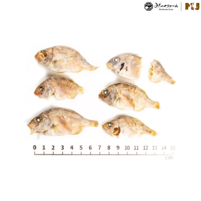 Michinoku Farm Small Sea Bream