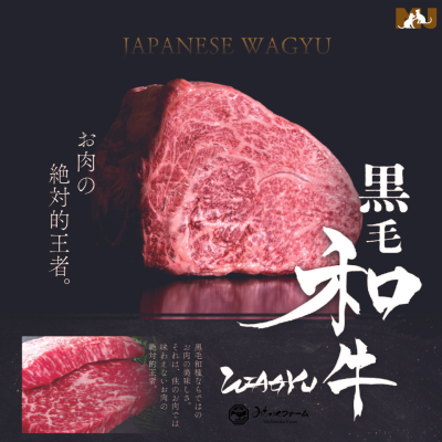 Michinoku Farm Freeze Dried Japanese Wagyu