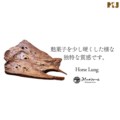 Michinoku Farm Horse Lung Michinoku Farm Horse Lung