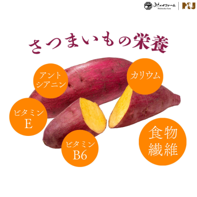 Michinoki Farm Freeze Dried Japanese Sweet Potato
