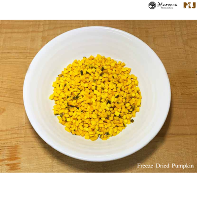 Michinoku Farm Freeze Dried Pumpkin