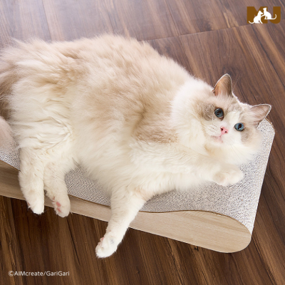 GariGari Sweet Series Sofa Cat Scratcher