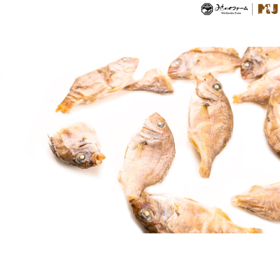 Michinoku Farm Small Sea Bream