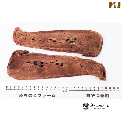 Michinoku Farm Horse Lung