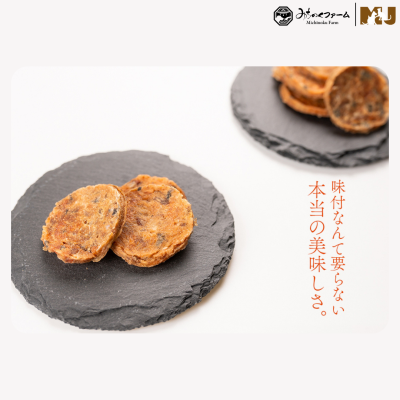 Michinoku Farm Salmon Chip