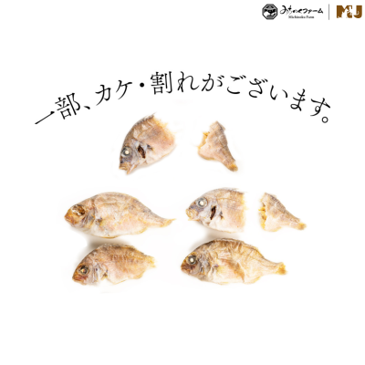 Michinoku Farm Small Sea Bream