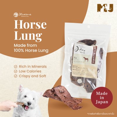 Michinoku Farm Horse Lung Michinoku Farm Horse Lung