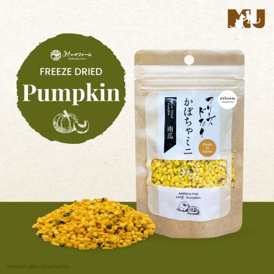 Michinoku Farm Freeze Dried Pumpkin