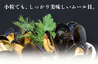 Michinoku Farm Freeze Dried Mussel