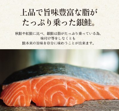 Michinoku Farm Freeze Dried Salmon