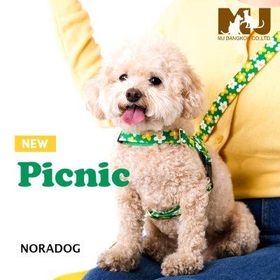 Noradog Picnic Easy Harness