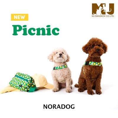 Noradog Picnic Easy Harness