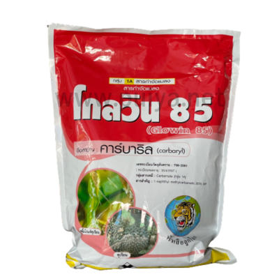 โกลวิน85 หัวเสือ 1กิโล