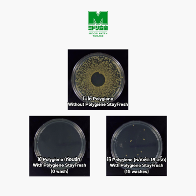 เสื้อยืด Polygiene StayFresh (Pre-Order)