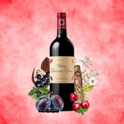 Château Branaire-Ducru Saint-Julien Grand Cru Classé 750ml