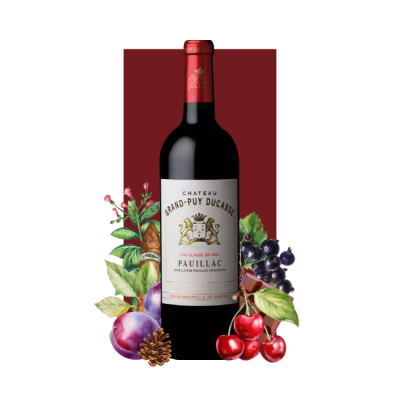 Château Grand-Puy-Ducasse Pauillac Grand Cru Classé 2017 750ml